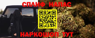 ГАЛЛЮЦИНОГЕННЫЕ ГРИБЫ Пугачёв