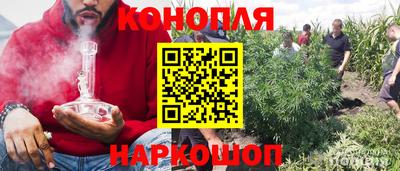 ГАЛЛЮЦИНОГЕННЫЕ ГРИБЫ Пугачёв