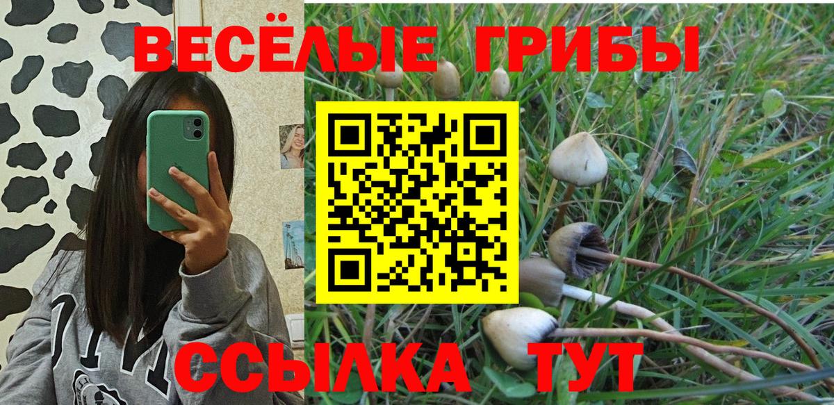 Симферополь  Галлюциногенные грибы прущие грибы  Вход с VPN 